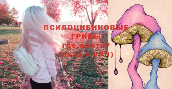 соль ск Волоколамск